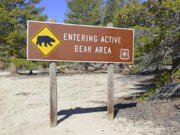 A bear sign in the recreation area in the mountains.
