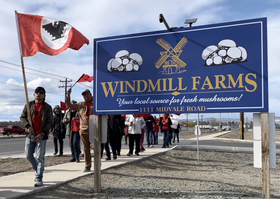Workers at Windmill Farms in Sunnyside, Washington, march in April outside the mushroom farm during a push to unionize.