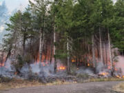 Crews from Clark County Fire District 10 and 13 are assisting the Washington State Department of Natural Resources DNR on the TumTum Fire on Forest Service 54 Road.
