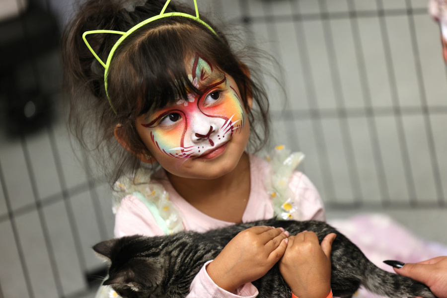 Esmerelda Ortega, 3, from Kirkland, holds a 9-week-old kitten that is up for adoption Aug. 12 at the Seattle Humane booth at the Sea-Meow Convention at the Seattle Center Exhibition Hall in Seattle.