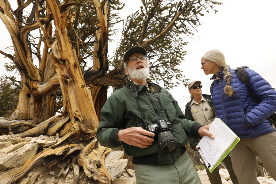 At Ancient Bristlecone Pine Forest in Inyo County, U.S. Forest Service pathologist Martin McKenzie, left, evaluates ailing trees with ecologist Michele Slaton, right, and Forest Service spokeswoman Mary Matlick in June 2022.