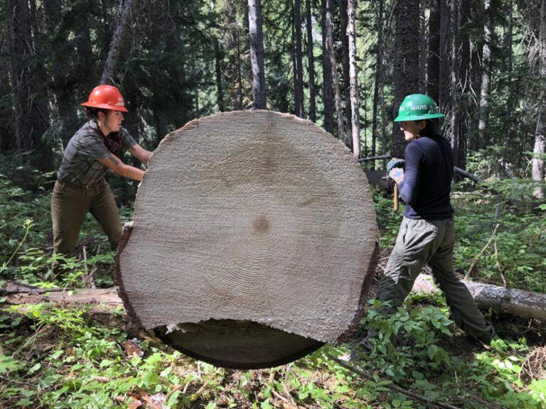 A Washington Trail Association crew cuts out a downed tree on the Company Creek Trail in the Entiat Valley.