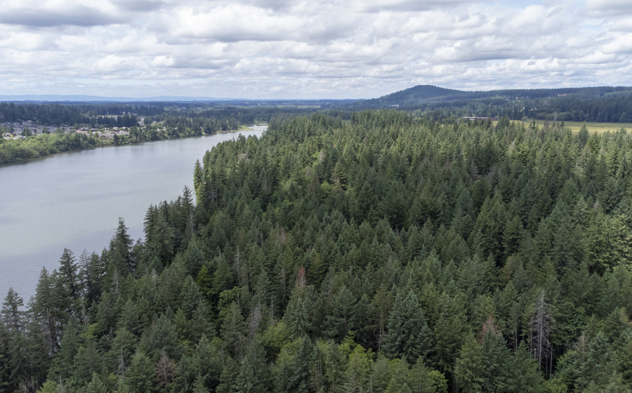 Lacamas Lake, at left, stretches into the distance in Camas. The north shore of the lake, at right, will soon be developed after six years of planning.