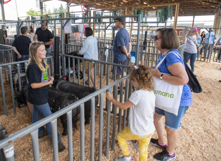 4-H member Emery Lee, 11, left, talks about her pigs Dixie and Pixie on Wednesday at the Clark County Fair.