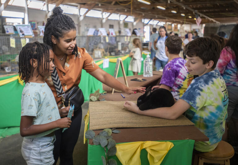 Carmen, middle, and Asia Jones, 8, of Portland, pet Sarah, a 1-year-old mini rex rabbit cared for by Connor Zarzana, Aug. 9 at the Clark County Fair.
