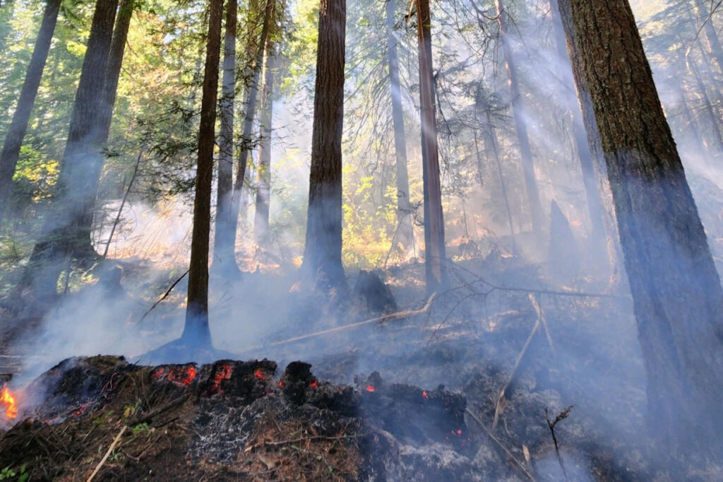 Last week's lightning strikes sparked some 45 forest fires in the Gifford Pinchot National Forest. The fire range in size from less than an acre to about 200 acres.