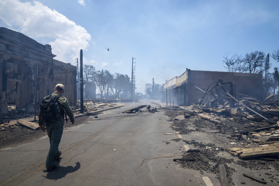 In this photo provided by Tiffany Kidder Winn, a man walks past wildfire wreckage on Wednesday, Aug. 9, 2023, in Lahaina, Hawaii. The scene at one of Maui's tourist hubs on Thursday looked like a wasteland, with homes and entire blocks reduced to ashes as firefighters as firefighters battled the deadliest blaze in the U.S. in recent years.