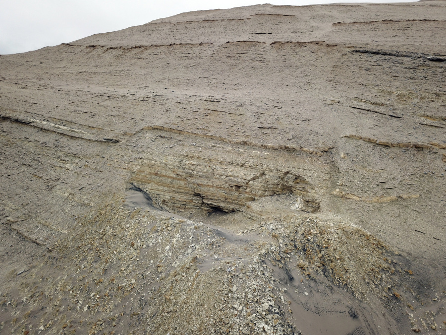 In this June, 2018 photo provided by Department of Earth Sciences, University of Pisa, is the site of origin of Perucetus colossus field excavation in the Ica desert, in Ica Province, southern Peru. A new species of ancient whale might be the heaviest animal ever found. Scientists reported Wednesday, Aug. 2, 2023, that the creature could challenge the blue whale's title as the heaviest animal that lived on Earth. They've been digging up massive fossils from the creature in the Peruvian desert over the past decade.