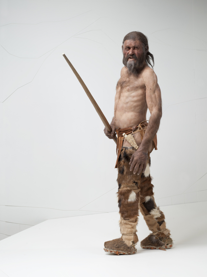 This photo provided by the South Tyrol Museum of Archaeology shows a reconstruction of "Oetzi the Iceman" sculpted by Alfons & Adrie Kennis. Decades after he was discovered in the Italian Alps, scientists determined that Oetzi was mostly descended from farmers from present day Turkey, and his head was balder and skin darker than what was initially thought, according to a study published Wednesday, Aug. 16, 2023, in the journal Cell Genomics.
