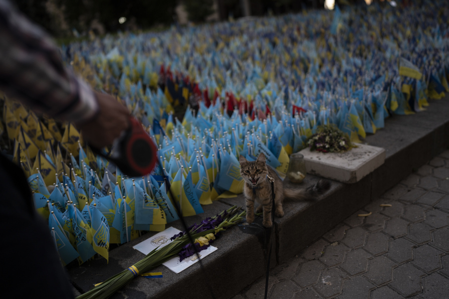 A cat walks next to a memorial site to honor Ukrainian troops killed in the country's war against Russia in Kyiv, Ukraine, Tuesday, Aug. 8, 2023.