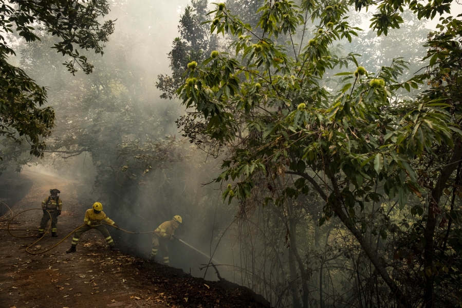 Emergency crews and firefighters are working to extinguish the fire advancing through the forest in La Orotava in Tenerife, Canary Islands, Spain on Aug.