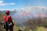 An incarcerated fire crew member assists with a controlled burn in this undated photo.