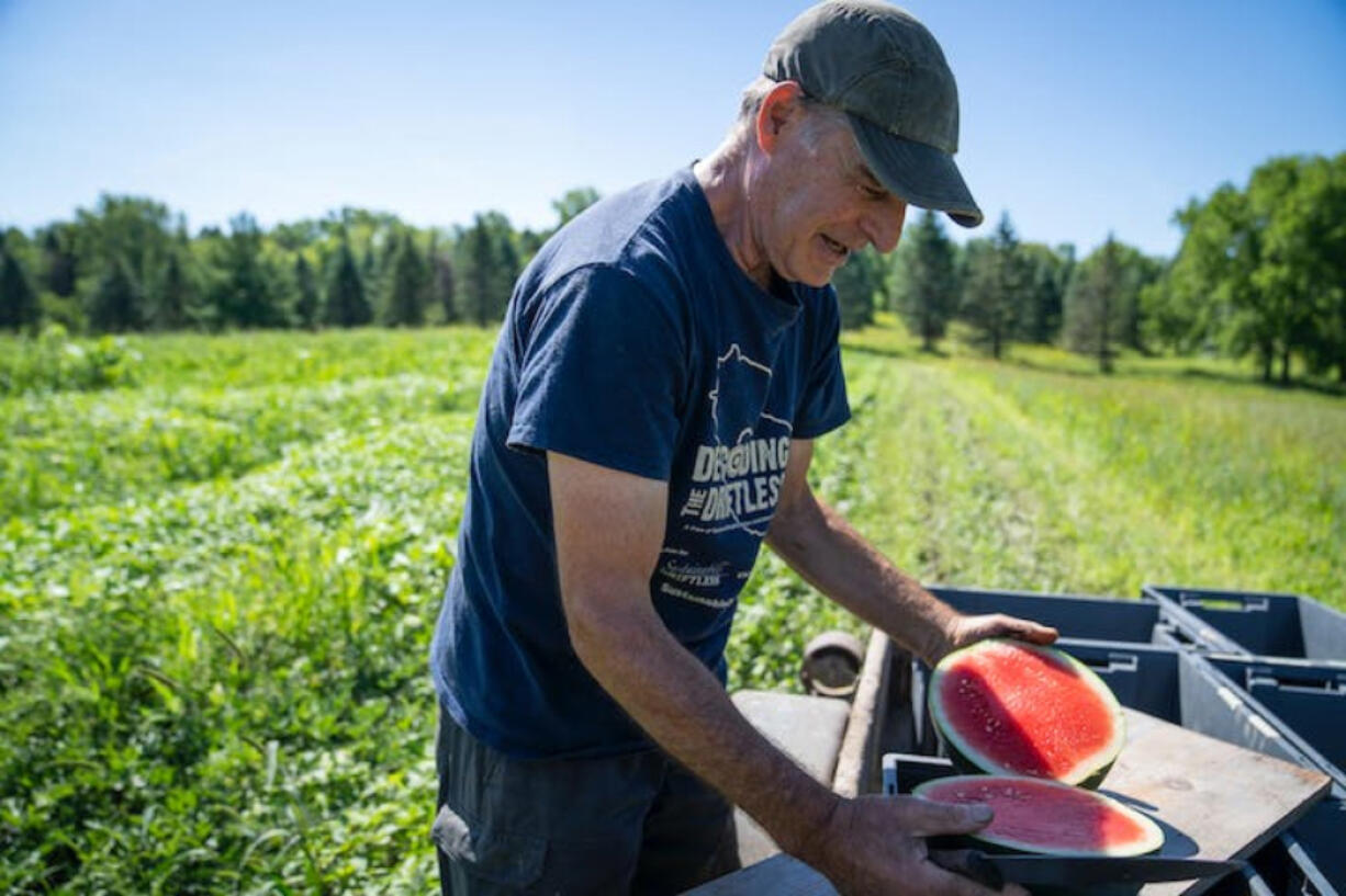 Jeff Nistler cut up a watermelon at his Nistler Farms in Maple Plain, Minn.