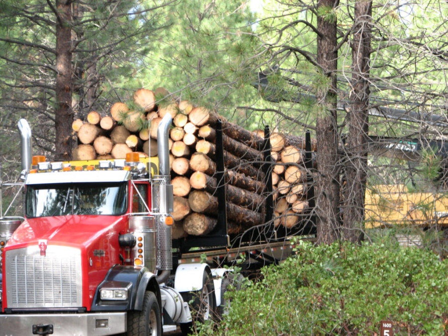 The Oregon Board of Forestry has spent years on the Western Oregon State Forests Habitat Conservation Plan, trying to find a resolution among conservationists, timber industry representatives and county leaders.