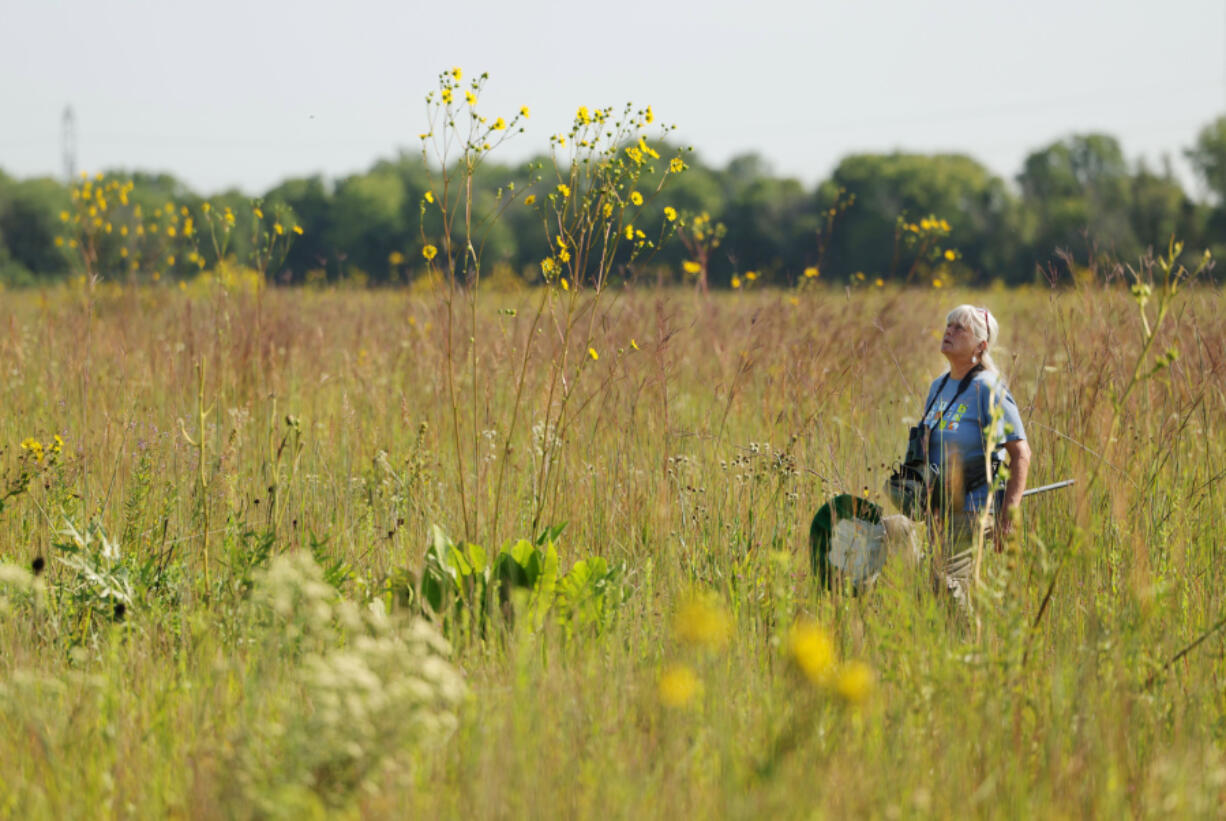 Barbara Williams carries an insect net and looks for bees, dragonflies and other insects Aug. 16 in Deer Run Forest Preserve in Cherry Valley, Ill.