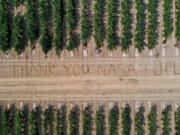 A drone image captures a grateful message scrawled in a vineyard in the Lodi, Calif., region by growers who collaborated with NASA's Jet Propulsion Laboratory on research to detect a crop-destroying virus.