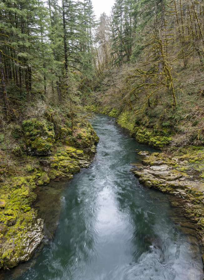 The East Fork Lewis River winds through northeastern Clark County in April. Projects to improve fish habitat in the river have received state and federal funding.
