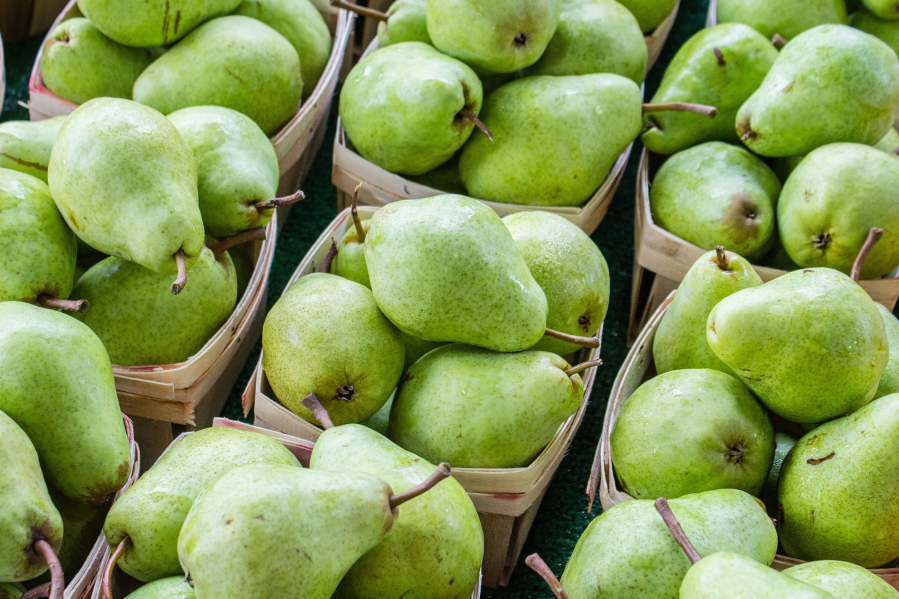 This year's pear crop is on par with recent harvests, according to the Washington Tree Fruit Association. Washington and Oregon account for 87 percent of the U.S. commercial pear crop.