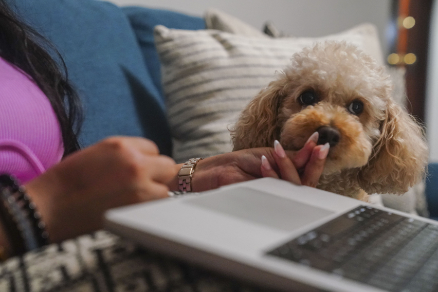 Melissa Chavez feeds a treat to her toy poodle Milo, Aug. 24 in New York. Chavez decided to get a dog in the summer of 2020, she had an idea of the costs but was surprised by how fast they added up.