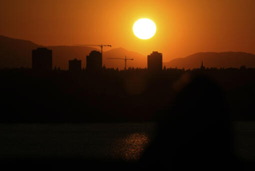 Construction cranes are silhouetted as the sun sets over the University District in Seattle on May 13, as seen from the 520 Bridge View Park in Medina.