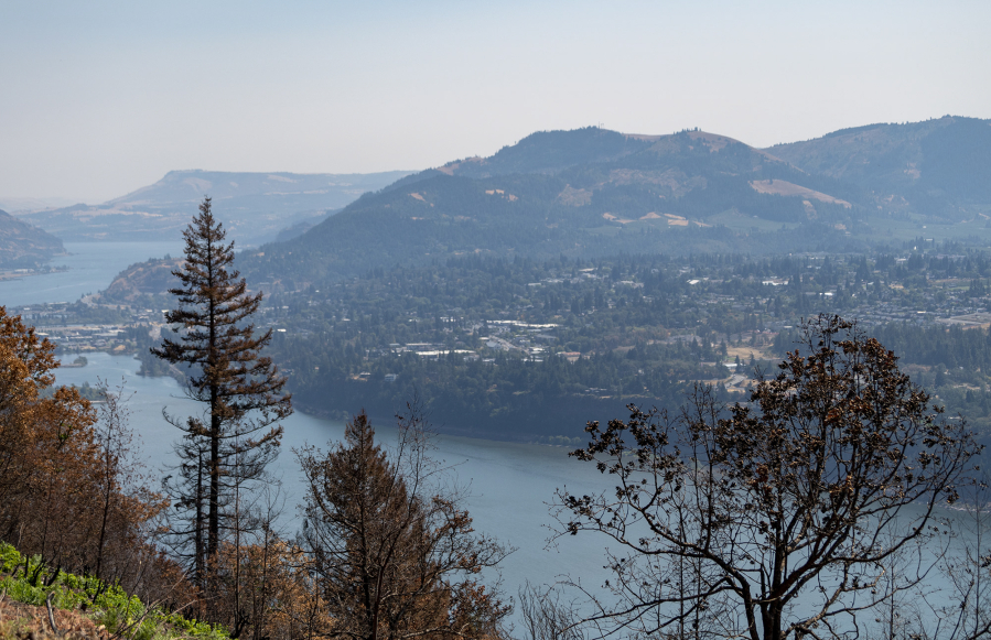 Hood River, Ore. and the Columbia River are visible through scorched trees Thursday, Aug. 24, 2023, near the Tunnel Five Fire burn scar in Underwood.
