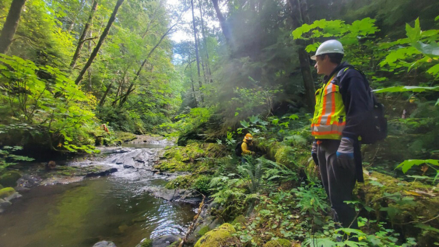 An intact floodplain is teeming with life - from bugs, beavers and at-risk fish species. But the Coweeman River isn't intact, said Brice Crayne, Lower Columbia Enhancement Group program manager. Splash damming flushed out entire aquatic systems.