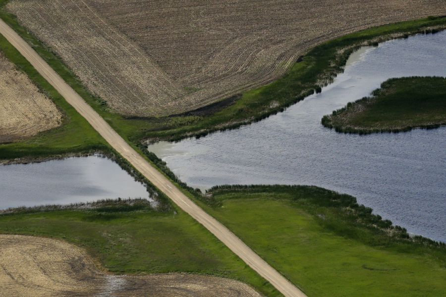 FILE - A road bisects a wetland on June 20, 2019, near Kulm, N.D. States and Native American tribes will have greater authority to block energy projects such as natural gas pipelines that could pollute rivers and streams under a final rule issued Thursday, Sept. 14, 2023, by the Biden administration.