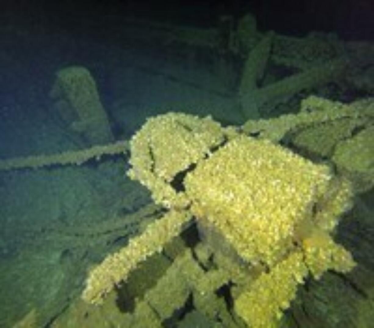 Quagga mussels carpet the bell of the wreck of the schooner Trinidad on the bottom of Lake Michigan in July 2023. Archaeologists are racing to locate Great Lakes shipwrecks before quagga mussels disintegrate them.
