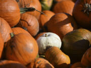 Columbian files 
 Pumpkin patches around Clark County are ready for you to pluck from their fields. (iStock.com)