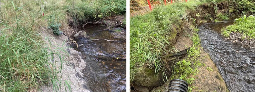 From July 2022 (left) to September 2023 (right), a 40-foot section of the Gibbons Creek bank lost 2 feet due to erosion.