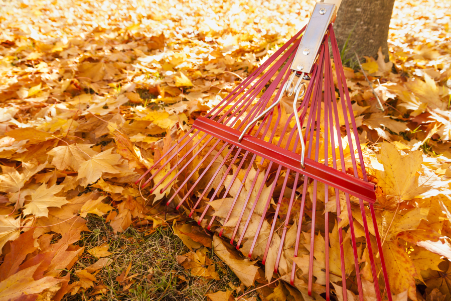 Before you take out your rake or leaf blower for the season, you might want to consider something other than a wholesale clear out.