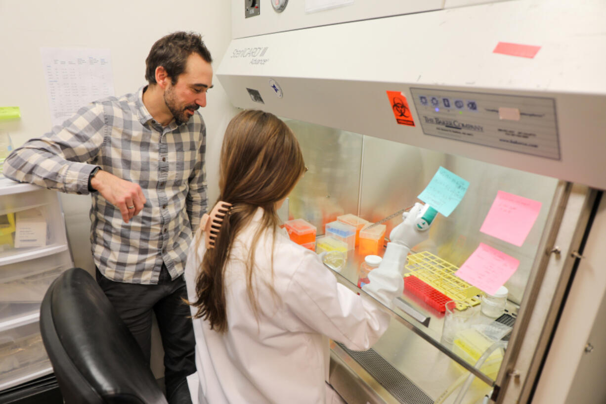Christine Torres Hicks/OHSU
Dr. Michael Cohen in his lab with M.D./Ph.D. student Moriah Arnold, co-author of a study introducing a new class of PARP-1 inhibitors.