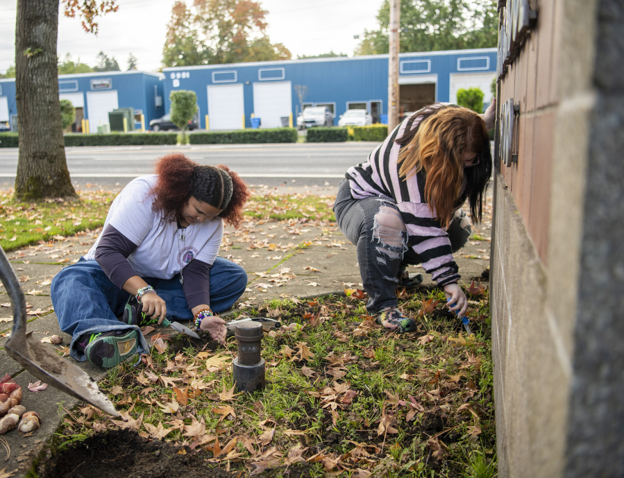Fort Vancouver High School juniors Addison Miles, right, and Zamyrah Scott work on planting tulips. The tulips raise awareness of substance use in the community.