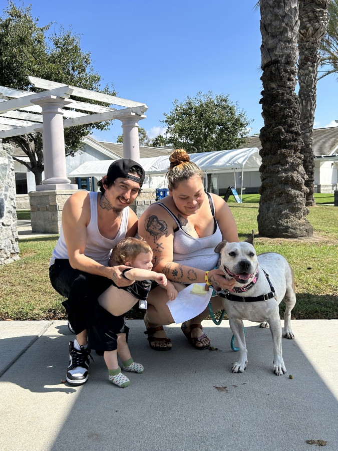 Cinderella, a 6-year-old brown-and-white female mixed pit bull, spent more time than any of the dogs at the Society for the Prevention of Cruelty to Animals' facility in Long Beach, Calif. She was adopted by a Wilmington family.