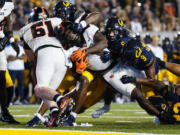Oregon State running back Deshaun Fenwick (1) is tackled by California defenders short of the end zone during the first half of an NCAA college football game Saturday, Oct. 7, 2023, in Berkeley, Calif. (AP Photo/Godofredo A.