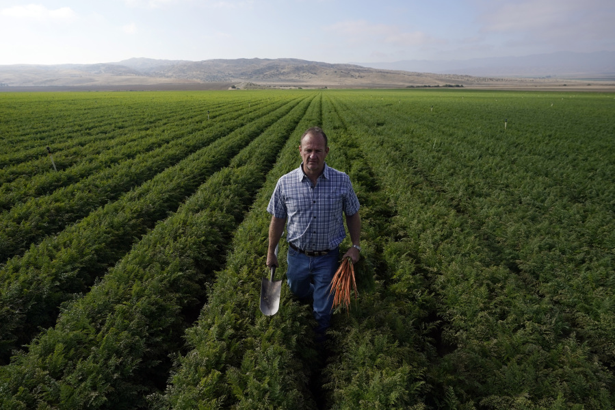 Jeff Huckaby, president and CEO of Grimmway Farms, walks on a carrot field owned by the company Sept. 21 in New Cuyama, Calif.