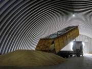 FILE - A dump track unloads grain in a granary in the village of Zghurivka, Ukraine, on Aug. 9, 2022. Ukraine, Poland and Lithuania have agreed on a plan they hope will help expedite Ukrainian grain exports, officials said Tuesday, Oct. 3, 2023, with needy countries beyond Europe potentially benefitting from speedier procedures.