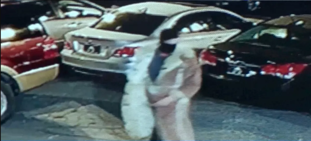 Northtown Auto Sales security footage shows one thief wearing a long fur coat.