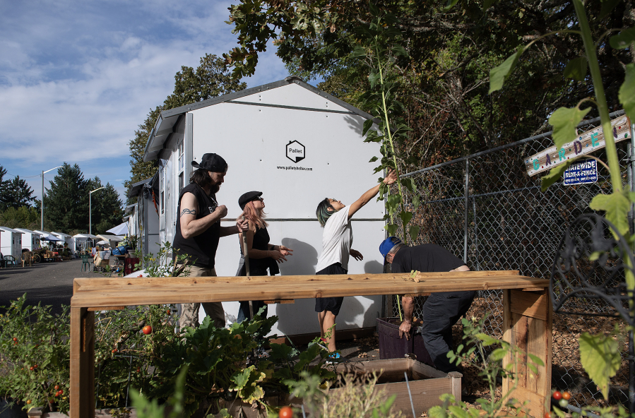 Activists plant seeds of change with victory garden at The Outpost in east Vancouver