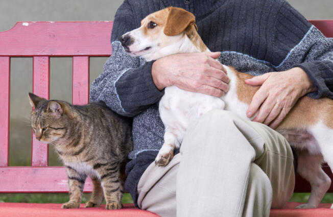 Pet Peace of Mind is a national nonprofit that also operates out of Vancouver. The programs assist hospice patients with pet upkeep and in some cases re-homing after a patient has died.