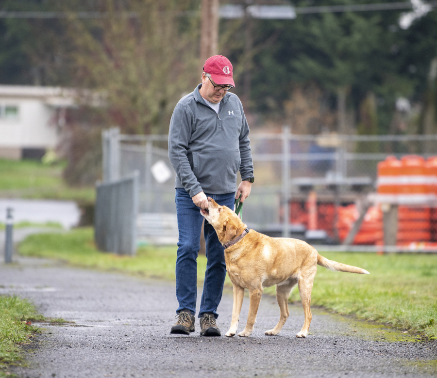 Jesse Peterson, left, walks with Charley, his 10-year-old yellow Labrador retriever, Nov. 15 in Ridgefield.