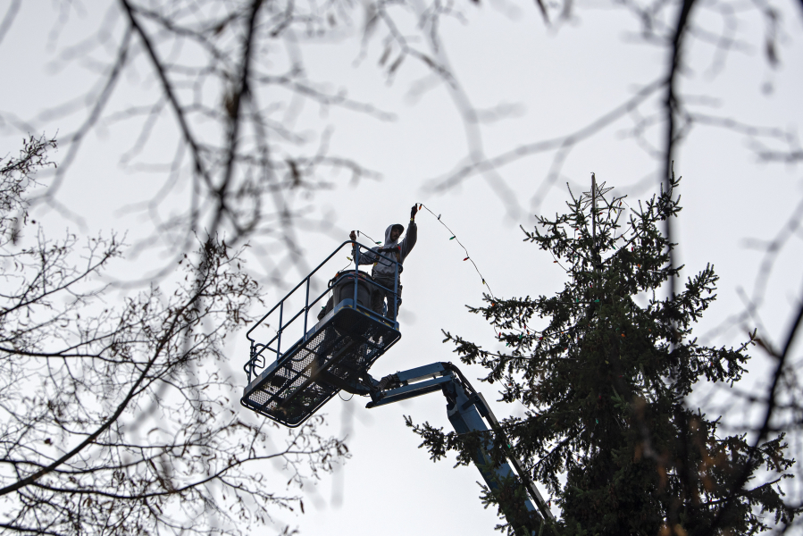 Kyle Smith of J&amp;J Roofing &amp; Construction helps prepare for the holidays while arranging festive lights on a tree in Esther Short Park on Monday morning. The annual community tree lighting, which is produced by the Rotary Club of Vancouver with presenting sponsor Waste Connections, will be held Friday.