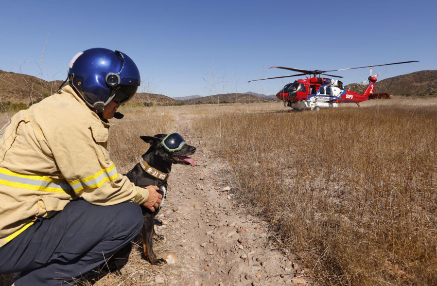 San Diego firefighter Chad Arberg, who is a member of the Urban Search &amp; Rescue California Task Force along with search dog Cory, look on Oct. 16 as San Diego Fire-Rescue Department&rsquo;s Copter 3 takes off during a training exercise in Sycamore Canyon Open Space Preserve in California. (K.C.