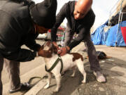 Veterinarian Dr. Kwane Stewart, known as, &ldquo;The Street Vet,&rsquo;&rsquo; gives a Parvo vaccine injection Jan. 11 to Pepper as owner Christina Crayton, 39, helps hold him in Skid Row in Los Angeles.