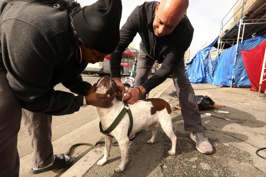 Veterinarian Dr. Kwane Stewart, known as, &ldquo;The Street Vet,&rsquo;&rsquo; gives a Parvo vaccine injection Jan. 11 to Pepper as owner Christina Crayton, 39, helps hold him in Skid Row in Los Angeles.