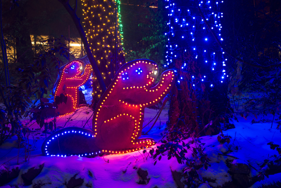 Zoolights in the snow at the Oregon Zoo.