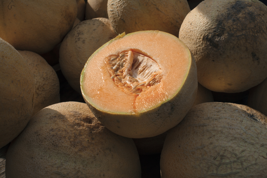 FILE - Cantaloupes are displayed for sale in Virginia on Saturday, July 28, 2017. On Friday, Nov. 17, 2023, the U.S. Centers for Disease Control and Prevention is warning consumers not to eat certain whole and cut cantaloupes and pre-cut fruit products linked to an outbreak of salmonella poisoning. At least 43 people in 15 states have been infected in the outbreak announced Friday, including 17 people who were hospitalized. Several brands of whole and pre-cut cantaloupes and pre-cut fruit have been recalled. They include Malichita brand whole cantaloupe, Vinyard brand pre-cut cantaloupe and ALDI whole cantaloupe and pre-cut fruit products. (AP Photo/J.