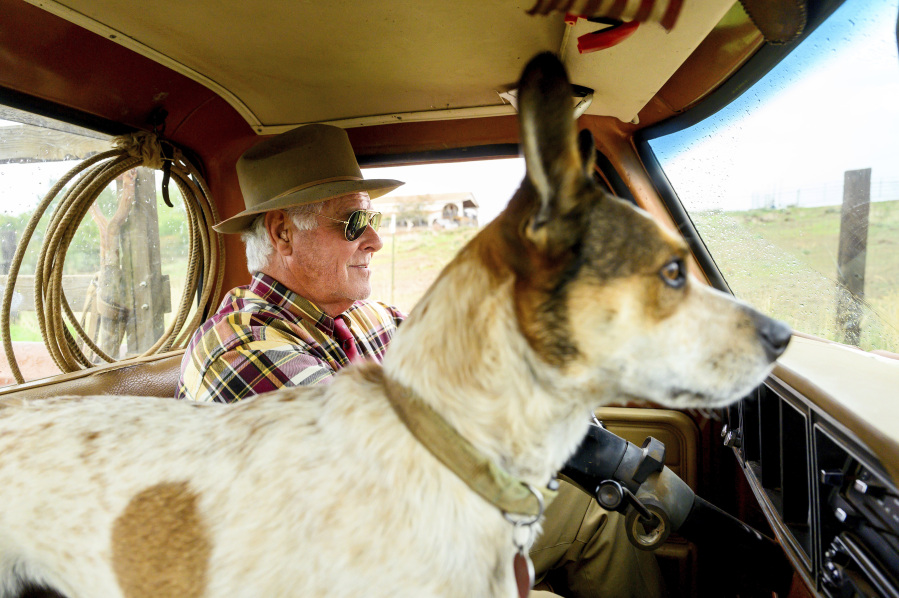 Don Criswell, accompanied by his dog Tucker, drives on Criswell Ranch, Wednesday, Oct. 25, 2023, in Paradise, Calif. Criswell and his wife fought to save structures as the Camp Fire tore through their ranch in 2018.