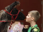 Colton Minich, 10, feeds a carrot to therapy llama Beni at a Dec. 13 party at Dorothy Fox Elementary School in Camas. The Camas School District Special Education Parent-Teacher-Student Organization formed last year and offers support for parents and hosts events tailored to special education students and their families.
