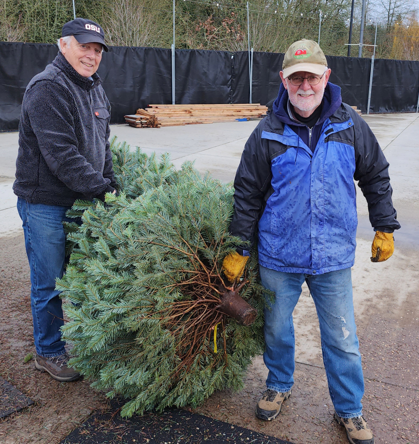 Ridgefield Lions members Steve Withers, left, and David Wright prepare to load a Christmas tree at the Lions&rsquo; tree lot at the Ridgefield Outdoor Recreation Center.